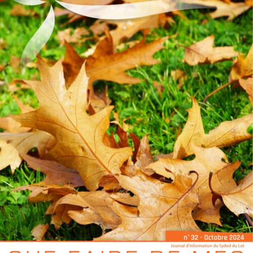 QUE FAIRE DE MES TONTES & FEUILLES ?